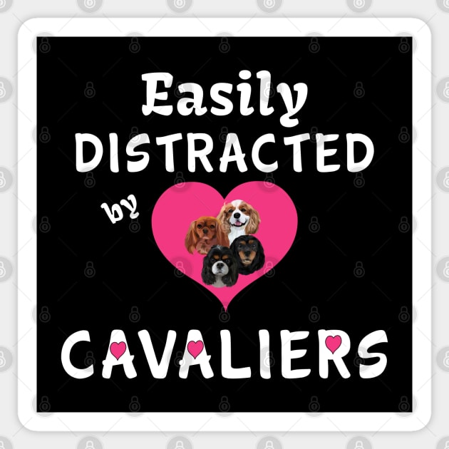 Easily distracted by my Cavalier King Charles Spaniels Sticker by Cavalier Gifts